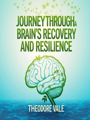 cover image of Journey Through a Brain's Recovery and Resilience